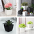 Maceta Cactus Nro 2 - CandyCraft Souvenirs en Once
