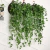 Planta Colgante Eneldo - tienda online