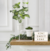 Imagen de Planta Artificial 1 Metro - Dieffenbachia