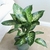 Planta Artificial 1 Metro - Monstera - comprar online