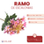 Ramo de Escalonias - comprar online