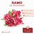 Ramo de Begonias - CandyCraft Souvenirs en Once