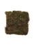 Musgo - comprar online