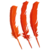 Imagen de Plumas Grandes x 10 unidades