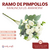 Ramo de Pimpollos Ranunculus Amandine - CandyCraft Souvenirs en Once