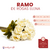 Ramo de Rosas Elena - comprar online
