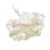 Flores del Prado x 72 unidades - comprar online