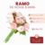 Ramo de novia Thiara - comprar online