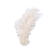 Plumas Chicas x 100 unidades