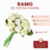 Ramo de novia Thiara en internet