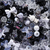 Mix de Cuentas Premium Negro Bolson x 500grs - 420 unidades - comprar online