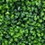 PANEL VERTICAL ARBUSTO 40 X 60 - tienda online