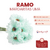 Ramo de Margaritas Uma - comprar online