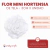 Mini Hortensia - tienda online