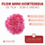 Mini Hortensia