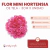 Mini Hortensia