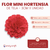 Mini Hortensia - tienda online
