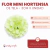 Mini Hortensia