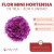 Mini Hortensia - comprar online