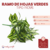 Ramos de Hojas Verdes Tipo Ficus - comprar online