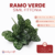 Ramo Verde Simil Fittonia - comprar online