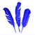 Plumas Grandes x 10 unidades en internet