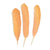 Plumas Grandes x 10 unidades - tienda online