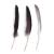 Plumas de Pato Medianas x 18