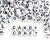 Letras Redondas 6mm Blanco Letra Negra 160u x25gr