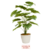 Planta Artificial 1 Metro - Filodendros