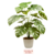 Planta Artificial 1 Metro - Monstera