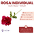 Rosa Individual Con Tallo 50 cm