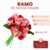 Ramo de novia Thiara - CandyCraft Souvenirs en Once