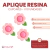 Charms de Resina Flores x 10u