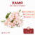 Ramo de Begonias