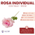 Rosa Individual Con Tallo 50 cm