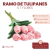 Ramo de Tulipanes x 7 Flores - tienda online