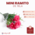 Mini Ramito de Tela en internet