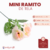 Mini Ramito de Tela - CandyCraft Souvenirs en Once