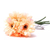Ramo de Margaritas Uma - CandyCraft Souvenirs en Once