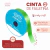Cinta Falletina N3 - 15mm x 10 metros
