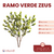 Ramo Verde Zeus - CandyCraft Souvenirs en Once