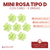Mini Rosa Tipo D - comprar online