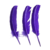Plumas Grandes x 10 unidades - CandyCraft Souvenirs en Once