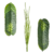 Planta Artificial 65 Cm - Dieffenbachia - CandyCraft Souvenirs en Once