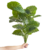 Planta Artificial 65 Cm - Alocasia en internet