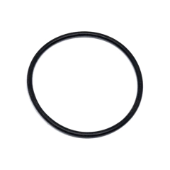 Correia Roliça 19,5cm Dobrada Espessura 2,3Mm