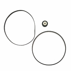Kit Correia Sharp SG-110 - comprar online