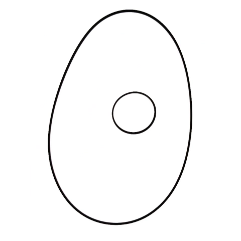 Kit Correias Pionner 5670