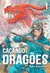 (PRÉ-VENDA!) Caçando Dragões Vol. 1